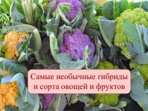 Самые необычные сорта овощей и фруктов