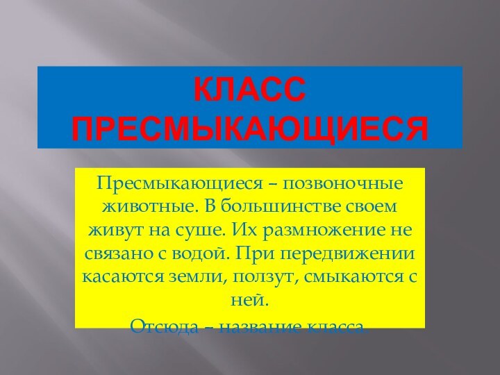 Класс Пресмыкающиеся Пресмыкающиеся – позвоночные животные. В большинстве своем живут на суше.