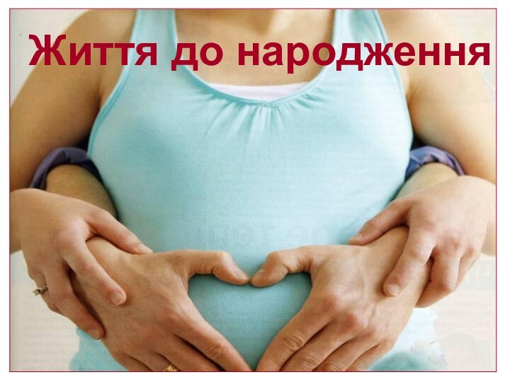 Життя до народження