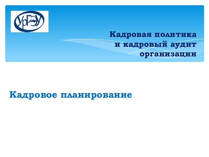 Кадровая политика  и кадровый аудит  организации    Кадровое планирование