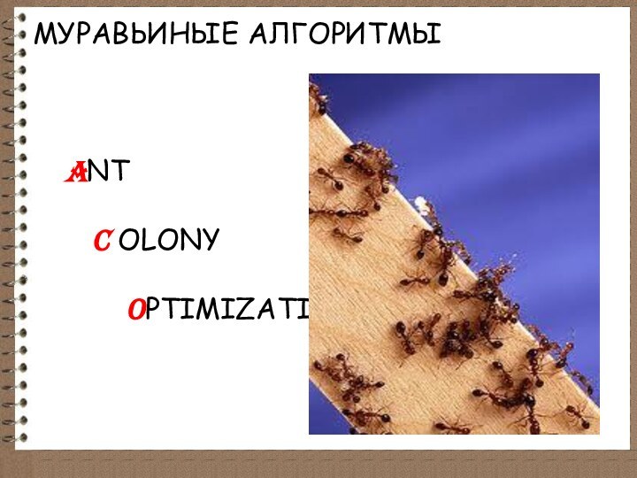 Муравьиные алгоритмы      Ant