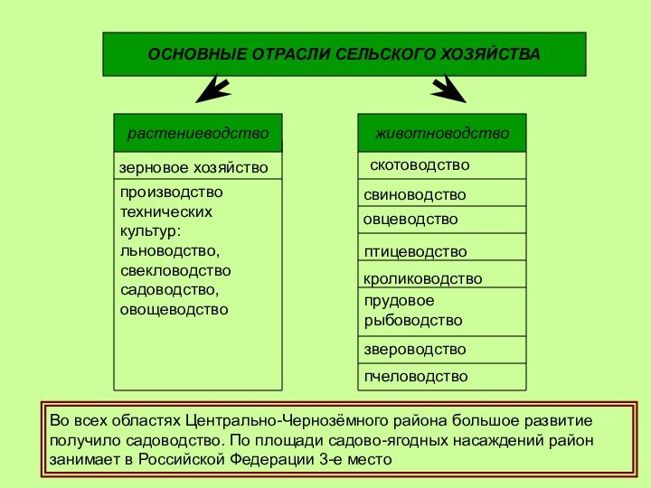 ОСНОВНЫЕ ОТРАСЛИ СЕЛЬСКОГО ХОЗЯЙСТВАрастениеводствоживотноводствозерновое хозяйствопроизводство технических культур:льноводство, свекловодство садоводство, овощеводствоскотоводствосвиноводство овцеводствоптицеводство кролиководствопрудовое