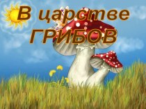 В царстве грибов