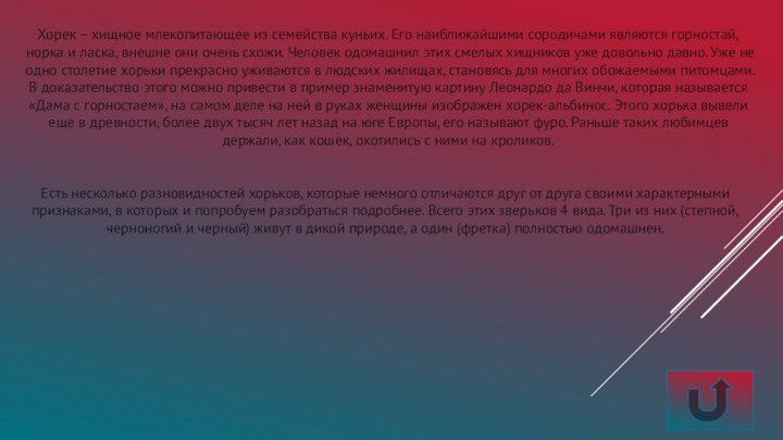 Хорек – хищное млекопитающее из семейства куньих. Его наиближайшими сородичами являются горностай,