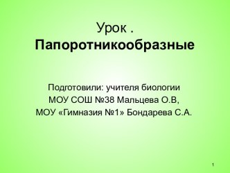 Папоротникообразные