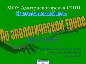 По экологической тропе