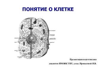 Понятие о клетке