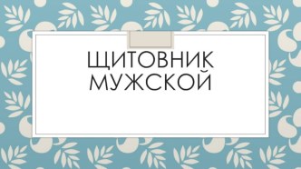 Щитовник мужской