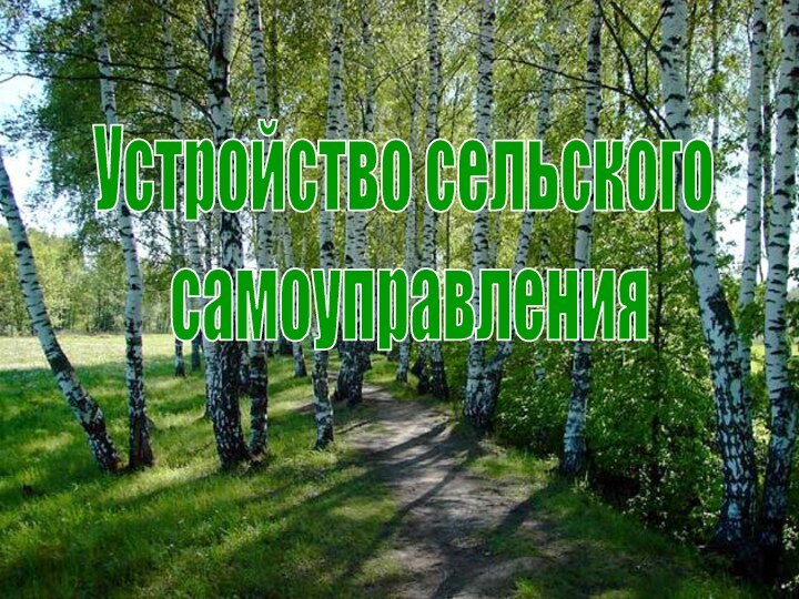 Устройство сельского самоуправления