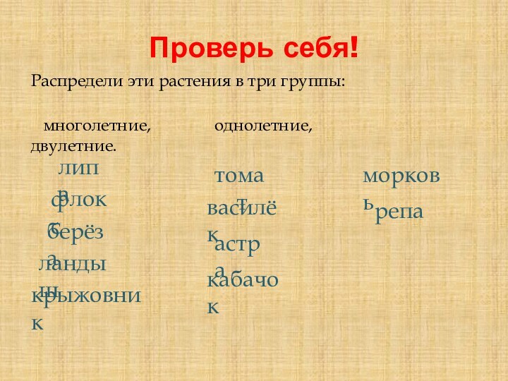 Проверь себя!Распредели эти растения в три группы:    многолетние,