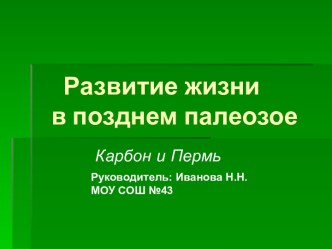 Развитие жизни в позднем палеозое