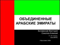 Туризм в Объединенных Арабских Эмиратах