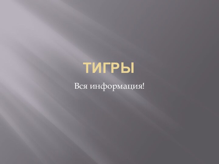 ТигрыВся информация!