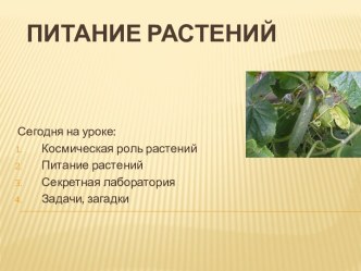 Питание растений