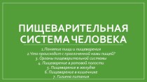 Пищеварительная система человека