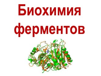 Биохимия ферментов