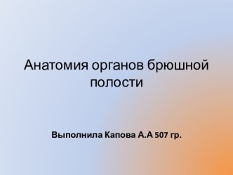 Анатомия органов брюшной полости