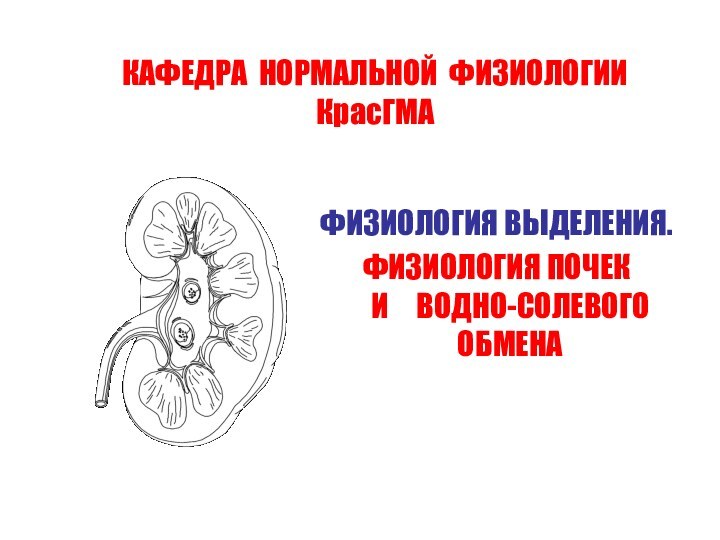 КАФЕДРА НОРМАЛЬНОЙ ФИЗИОЛОГИИ КрасГМАФИЗИОЛОГИЯ ВЫДЕЛЕНИЯ.ФИЗИОЛОГИЯ ПОЧЕК