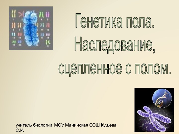 Генетика пола. Наследование, сцепленное с полом.учитель биологии МОУ Манинская СОШ Кущева С.И.