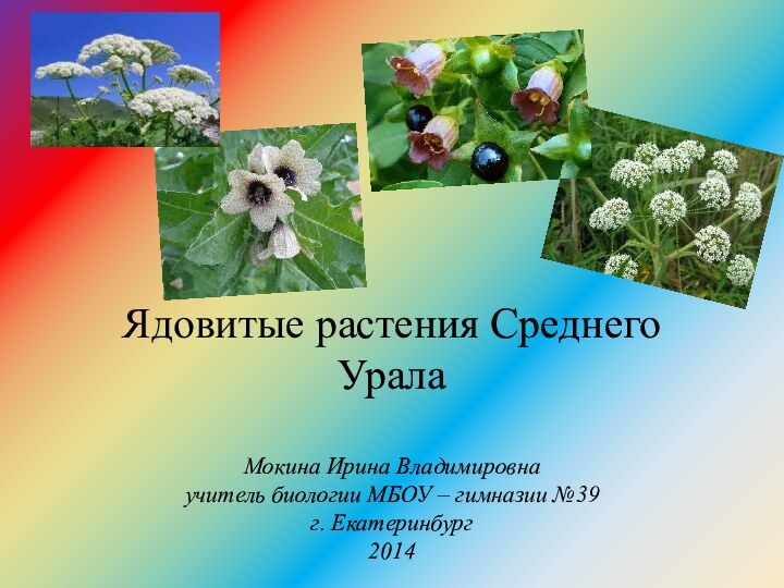 Ядовитые растения Среднего Урала  Мокина Ирина Владимировна учитель биологии МБОУ