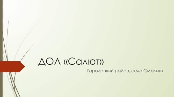 ДОЛ «Салют»Городецкий район, село Смольки