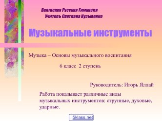 Виды музыкальных инструментов