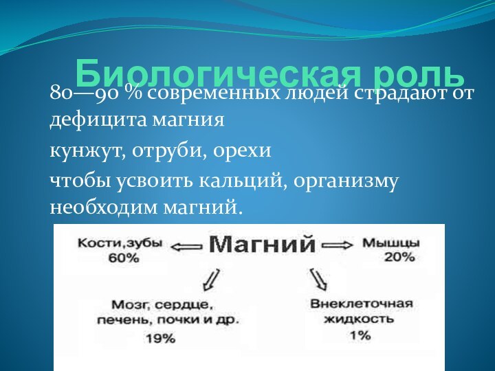 Биологическая роль 80—90 % современных людей страдают от дефицита магниякунжут, отруби, орехичтобы усвоить кальций, организму необходим магний.