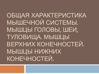 Общая характеристика мышечной системы.Мышцы головы, шеи, туловища. Мышцы верхних конечностей. Мышцы нижних конечностей.