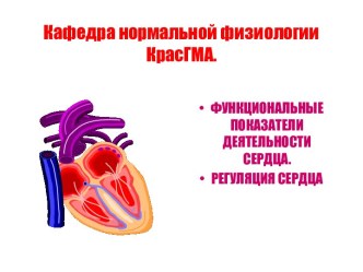 Функциональные показатели деятельности сердца