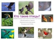 Кто такие птицы?