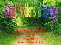 Global Problems of Ecology