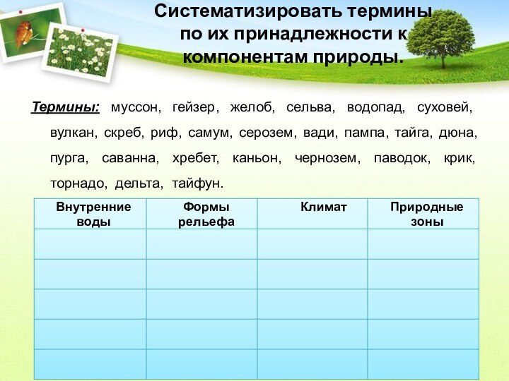 Систематизировать термины  по их принадлежности к  компонентам природы.  Термины: муссон,