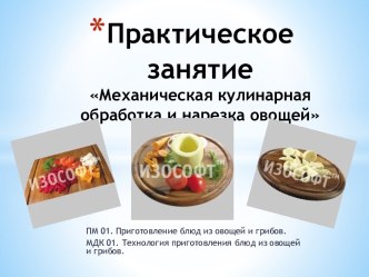 Механическая кулинарная обработка и нарезка овощей