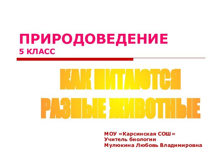 ПРИРОДОВЕДЕНИЕ 5 КЛАССМОУ «Карсинская СОШ»Учитель биологииМулюкина Любовь ВладимировнаКАК ПИТАЮТСЯРАЗНЫЕ ЖИВОТНЫЕ