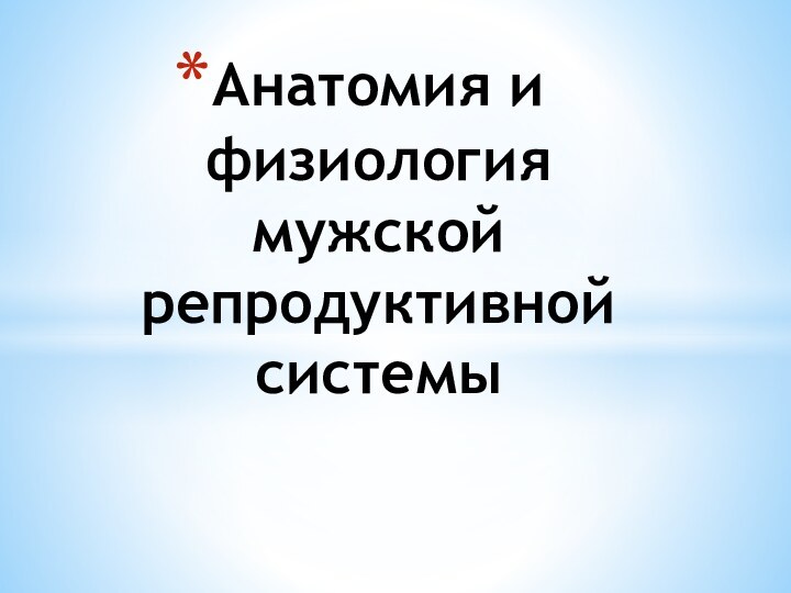 Анатомия и физиология мужской репродуктивной системы