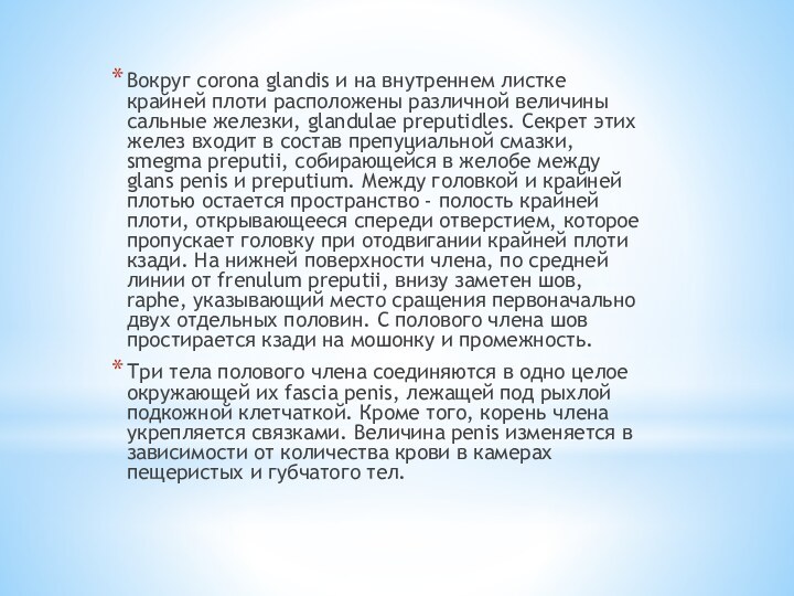 Вокруг corona glandis и на внутреннем листке крайней плоти расположены различной величины