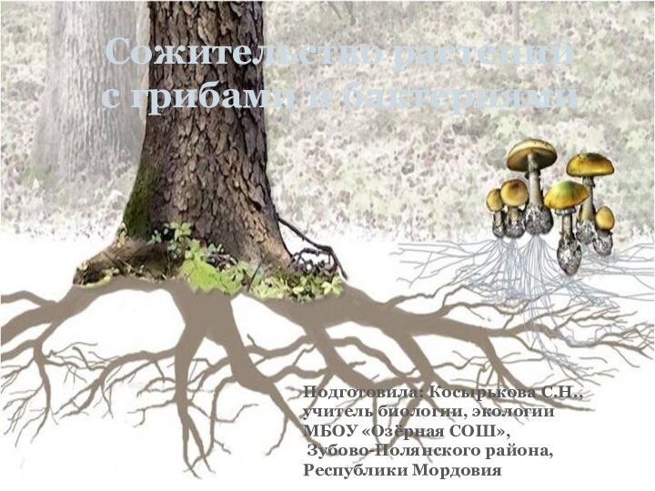 Сожительство растений с грибами и бактериямиПодготовила: Косырькова С.Н.,учитель биологии, экологии МБОУ «Озёрная