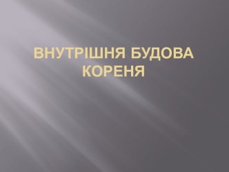 Внутреннее строение корня