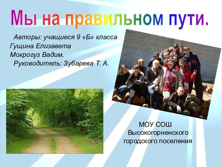 Авторы: учащиеся 9 «Б» класса Гущина Елизавета Мокрогуз Вадим. Руководитель: Зубарева