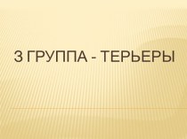 З группа - Терьеры