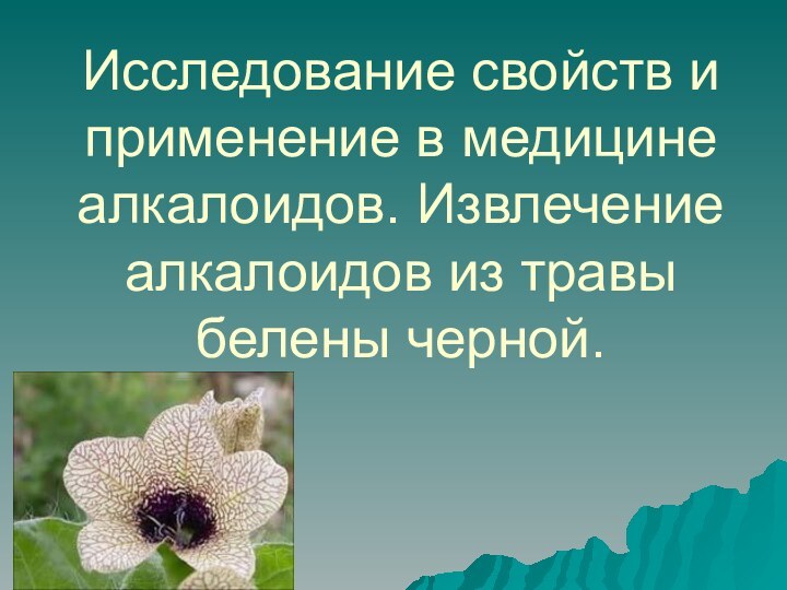 Исследование свойств и применение в медицине алкалоидов. Извлечение алкалоидов из травы белены черной.