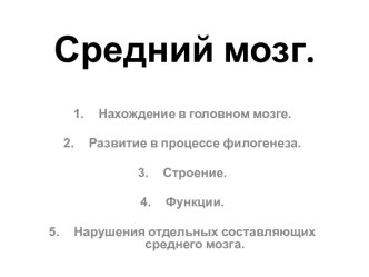 Средний мозг.