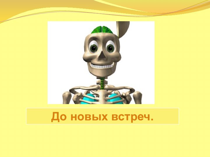 До новых встреч.