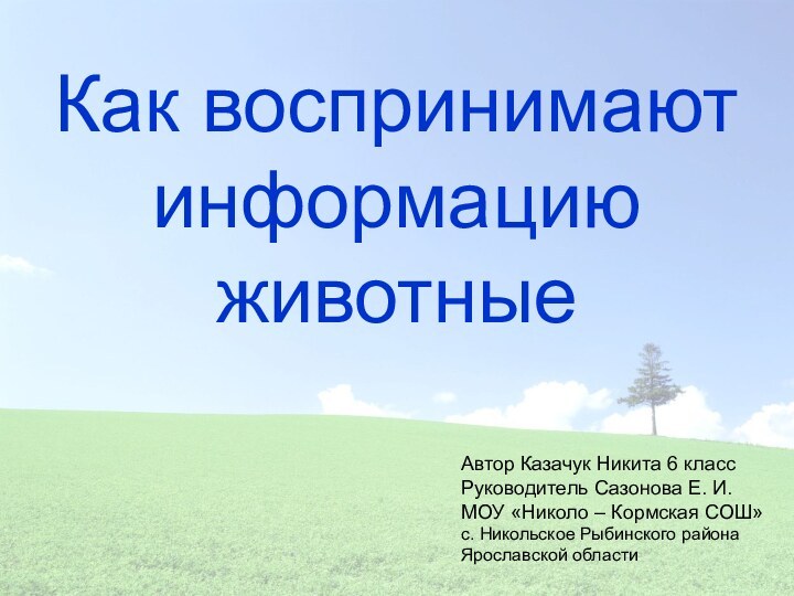 Как воспринимают информацию животныеАвтор Казачук Никита 6 классРуководитель Сазонова Е. И.МОУ «Николо