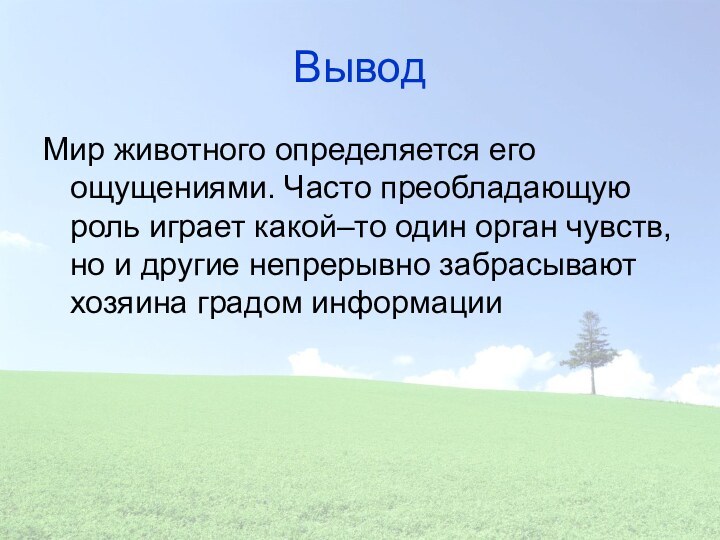 ВыводМир животного определяется его ощущениями. Часто преобладающую роль играет какой–то один орган