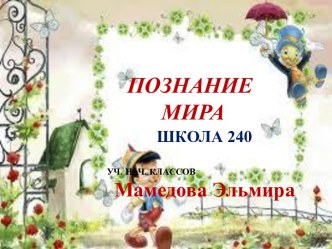 Познание Мира. Наши национальные денежные знаки