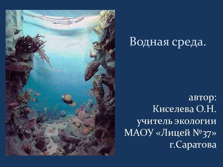 Водная среда.  автор: Киселева О.Н.учитель экологии МАОУ «Лицей №37» г.Саратова