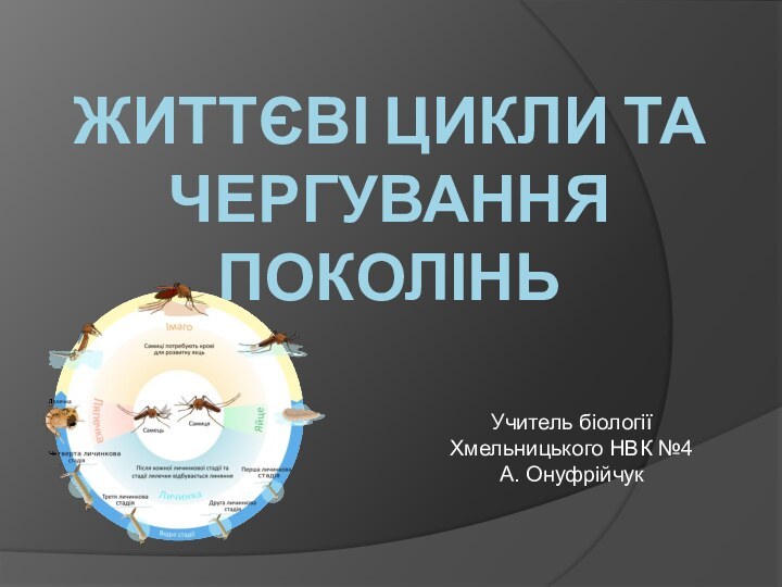 Життєві цикли та чергування поколіньУчитель біології Хмельницького НВК №4