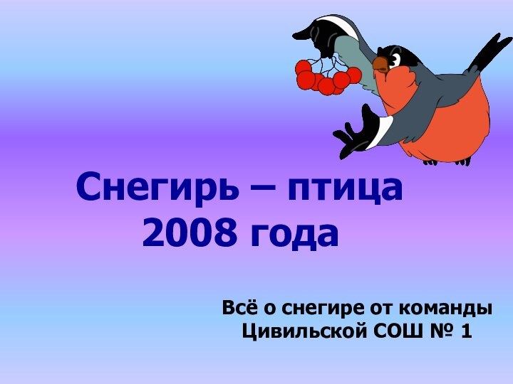 Снегирь – птица 2008 годаВсё о снегире от команды Цивильской СОШ № 1