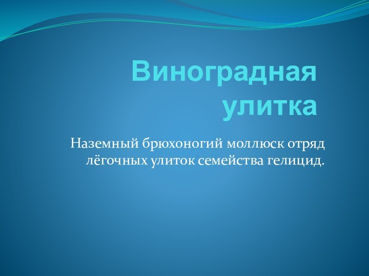 Виноградная улиткаНаземный брюхоногий моллюск отряд лёгочных улиток семейства гелицид.